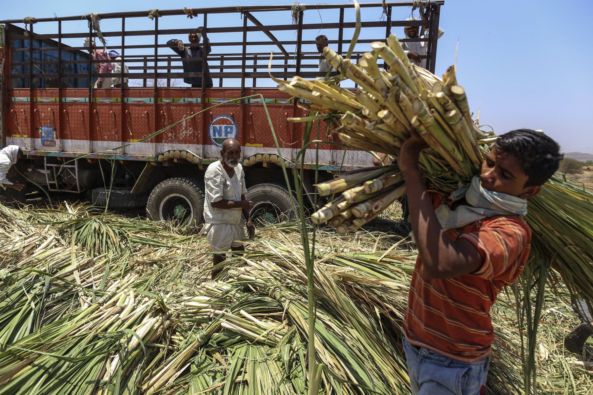 Brazil's Sugar Slump: July's Downturn